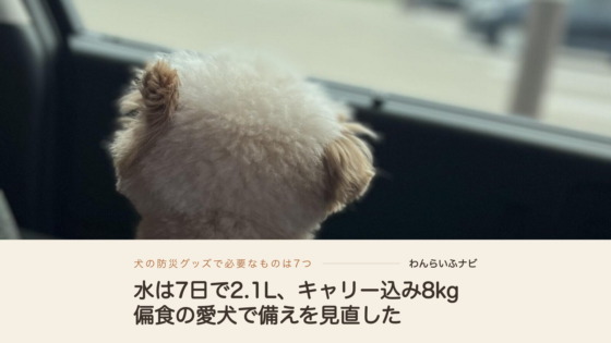 車の後部座席でデニムのキャリーバッグに入り、窓の外を見つめるポメプーの後ろ姿