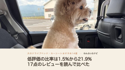 車の後部座席に置いたキャリーから立ち上がって外を見るポメプー