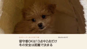 子犬のころのパフィが、白いもこもこのドーム型ベッドの中で伏せてこちらを見ている