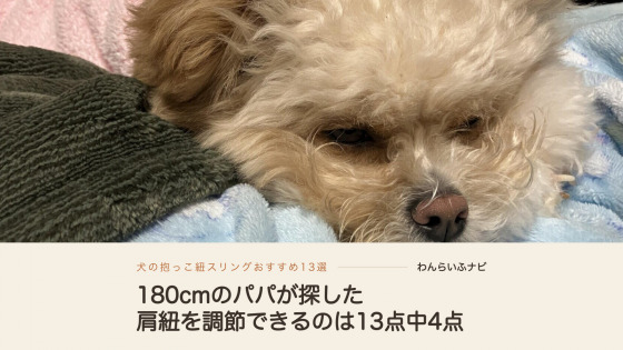 水色の毛布にあごをのせ、目を細めてまどろむポメプー