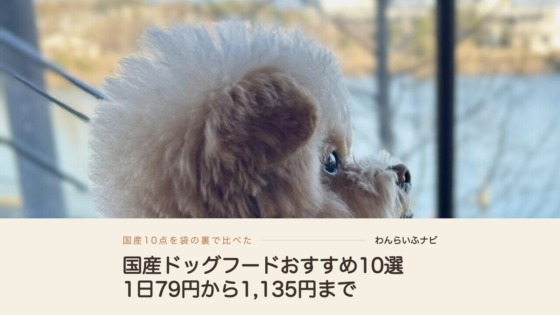 湖の見える窓辺で横を向くアプリコットのポメプーと、国産ドッグフードおすすめ10選・1日79円から1,135円までの文字
