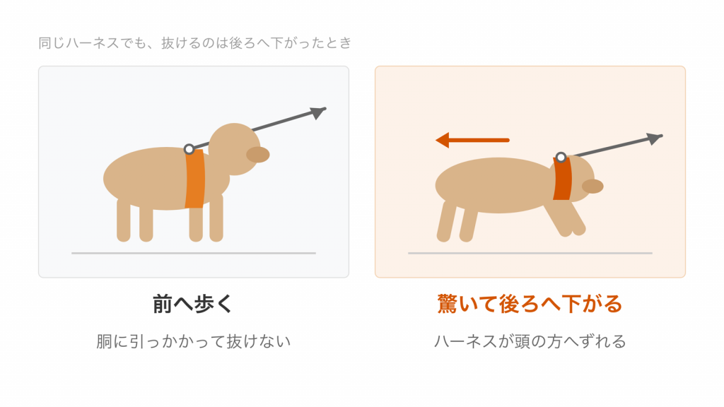 前へ歩くときは胴に引っかかり、驚いて後ろへ下がるとハーネスが頭の方へずれる様子の図