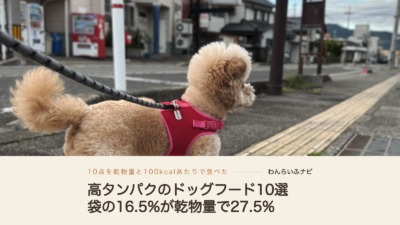 高タンパクのドッグフードおすすめ10選！袋の％を乾物量に直して比べた