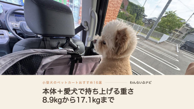 車の座席に置いたペットカートのかごから、窓の外の駐車場を眺めるポメプーの横顔