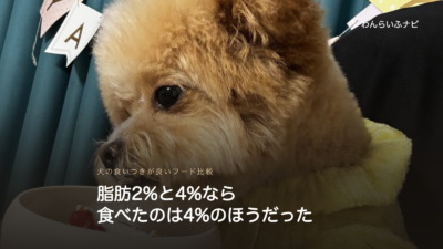 白い器に顔を寄せて中をのぞき込む、黄色い服を着たポメプー