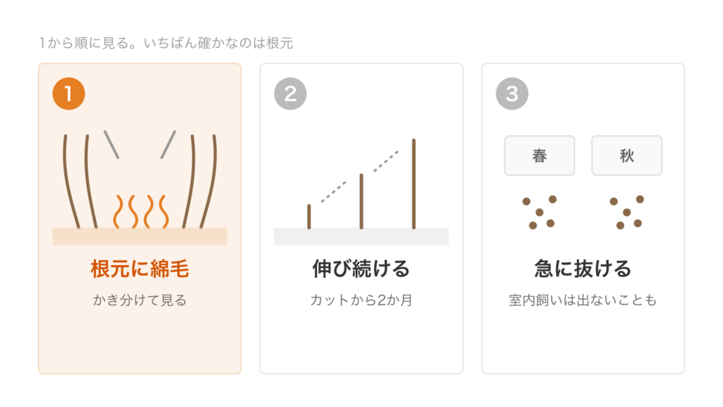 根元の綿毛、カット後に伸び続けるか、春と秋に急に抜けるかの3つを順に見る図
