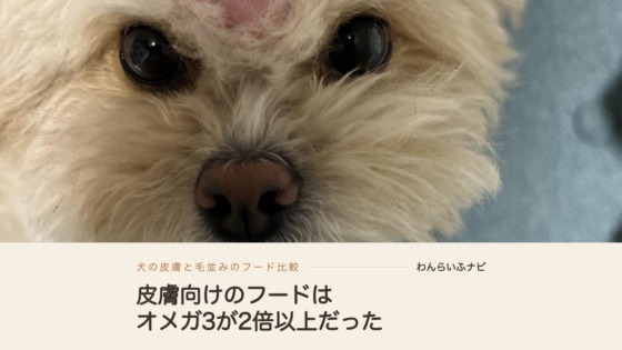 ふわふわのクリーム色の毛のポメプーの顔のアップと、皮膚向けのフードはオメガ3が2倍以上だったという見出し