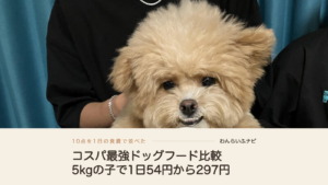 テーブルの白いフードボウルの前で前足をそろえ、こちらを見つめるクリーム色のパフィ