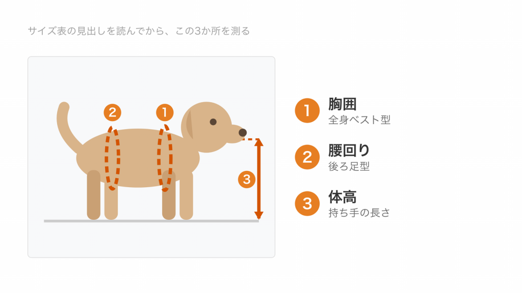 補助ハーネスのサイズで測る3か所。前足の付け根のすぐ後ろの胸囲、後ろ足の付け根の前の腰回り、首の付け根から床までの体高
