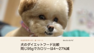 黒いブランケットに前足をかけて首をかしげる、丸くカットしたクリーム色のポメプー
